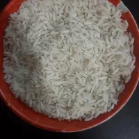 برنج طارم محلی ارگانیک بدون سم تضمینی