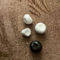 شهاب سنگ قیمتی