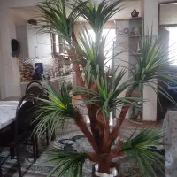 درختچه مصنوعی بسیار زیبا به همراه گلدان هخامنشی|گل مصنوعی|رشت, جماران|دیوار