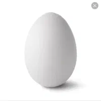 پخش تخم مرغ مارکدارروز