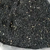 سیاه دونه|عمدهفروشی|سپیدار, |دیوار