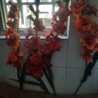 ۴ شاخه گل خارجی