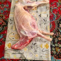 یک لاشه گوشت بره نره مفت