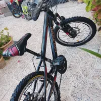 دوچرخه دنده ای«حرفه ای»
