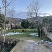 زمین ماکلوان جاده ماسوله ۵۰۳ متر زیر قیمت منطقه