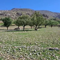 دهدز زمین ۴پلاک ۲۰۰متری ۸۰۰مترمربع
