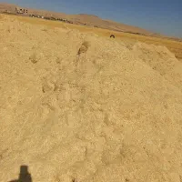 کاه گندم|لوازم جانبی حیوانات|کرمانشاه, |دیوار