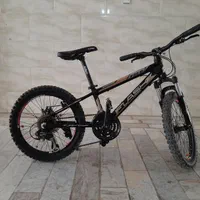 دوچرخه ۲۰دنده ای