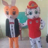 مجری کودک و نوجوانان هستم