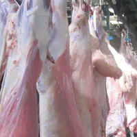 عرضه گوشت چرخ کرده تازه تنظیم بازار با پیک|خوردنی و آشامیدنی|قم, باسکول|دیوار