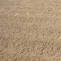 زمین کشاورزی سند شش دانگ