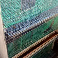 قفس مرغ و بلدرچین|لوازم جانبی حیوانات|رشت, جانبازان|دیوار