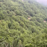 زمین ۱۸۸۰ متر واقع در کلاردشت دوبال قابل تفکیک