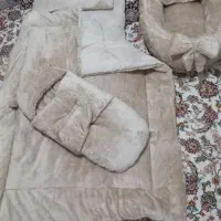 سیسمونی نوزاد