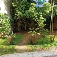 خوابگاه ،پانسیون،اقامتگاه،مهمانپذیر پسرانه ونک