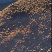 فروش کود حیوانی گوسفندی با نیسان