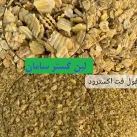 کارگر ساده خط تولید