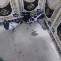 اهواز میسر دغاغله