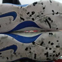 کفش سالنی لیونارگتو