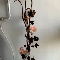 چراغ تزئینی