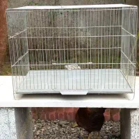 قفس پرنده عروس هلندی