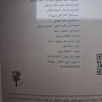 کتاب یازدهم ریاضی خیلی سبز|کتاب و مجله آموزشی|شوشتر, |دیوار