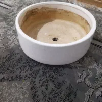 گلدان|گل و گیاه طبیعی|تهران, خاک سفید|دیوار