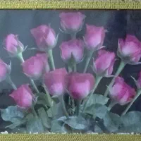 عکس دیواری|تابلو، نقاشی، عکس|شادگان, |دیوار
