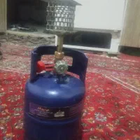 پکنیک کوچیک فروشی