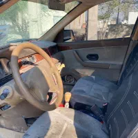 سمند معمولی