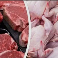 فروشگاه مرغ منجمد ایران