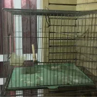 قفس پرنده|لوازم جانبی حیوانات|شیراز, شهرک استقلال|دیوار