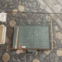 قفس پرنده|لوازم جانبی حیوانات|بهارستان, |دیوار