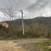 300-متر-زمین-جنگلی