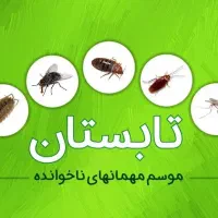 خدمات کنترل آفات موذی بهداشتی سمپاشی و طعمه گذاری|خدمات نظافت|کاشان, باغ فین|دیوار