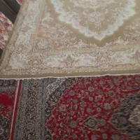 فرش ۱۲ متری سالم|فرش|فریدونکنار, |دیوار