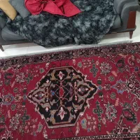 فرش تمام پشم دستبافت|فرش|شاهین‌شهر, حافظ شمالی|دیوار