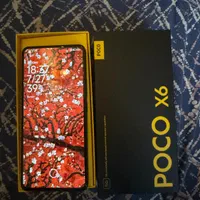 Poco x6 256 12g