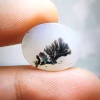 چهار عدد سنگ شجر قائنات|جواهرات|قم, علی آباد|دیوار