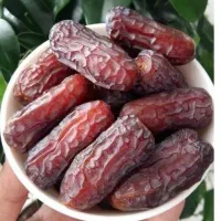 نخلستان، خرمای تازه با ارسال رایگان