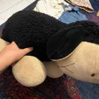 یک عدد عروسک خارجی سایز متوسط|اسباب‌‌بازی|بابلسر, |دیوار