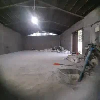 اجاره و واگذاری پرورش بوقلمون صنعتی