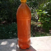 آبغوره، سرکه، انواع سبزی خشک