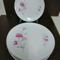 بشقاب 27سانت قندون وزیر سیگاری گل میخک