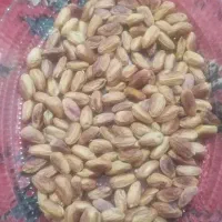 مغز پسته سالم درجه ۱