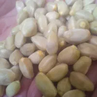 حمل بار با ماشین پراید به مشهد و از مشهد به تربت