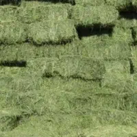 یونجه پرس  خشک انبار در اخولا