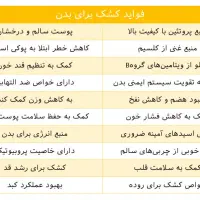 کشک خشک یا قروت خالص گوسفندی بز میش|خوردنی و آشامیدنی|مشهد, آبکوه|دیوار