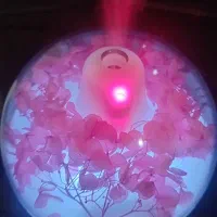 دستگاه بخار|آرایشی، بهداشتی، درمانی|بناب, |دیوار