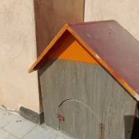 خانه حیوانات|لوازم جانبی حیوانات|کاشمر, |دیوار